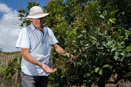 Felipe Ozonas nos muestra su cultivo de café