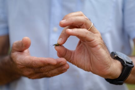 Felipe Ozonas mostrando un insecto.