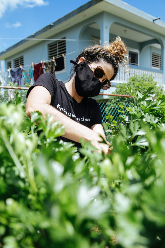 Alba con mascarilla cultiva cilantrillo frente a su casa