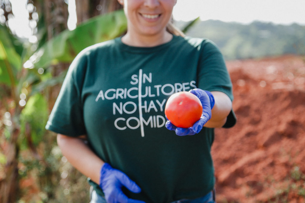 Agricultora sosteniendo un tomate en el medio de un cultivo con una camisa que dice “Sin agricultores no hay comida”<br />
