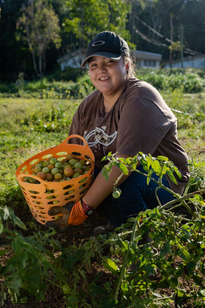 Agricultora con canasta llena de tomates en el medio del campo