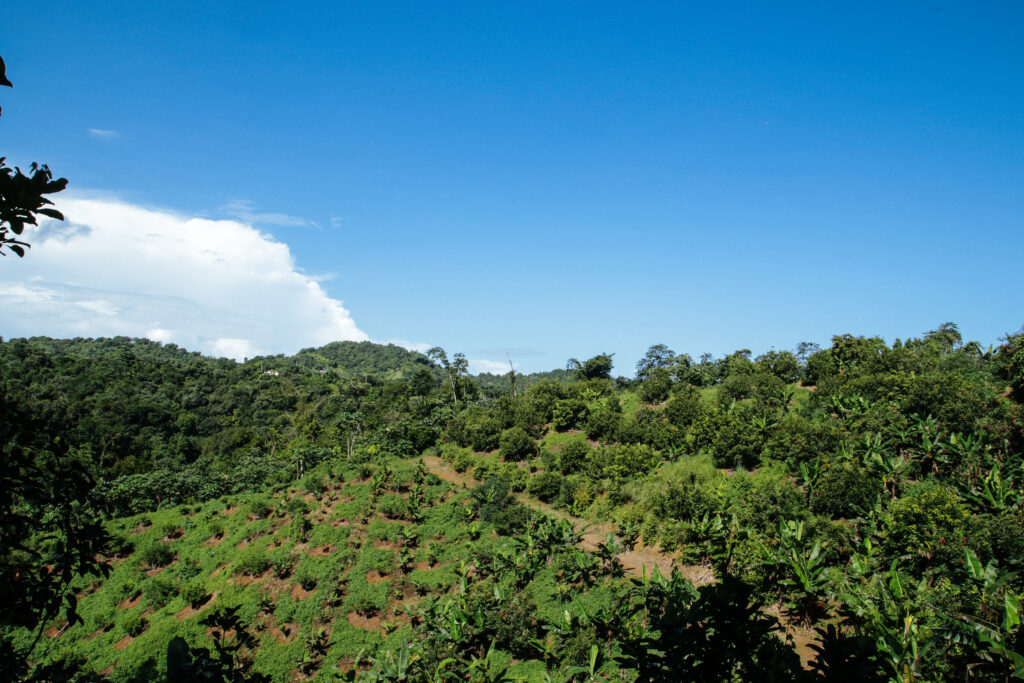 Vista de la finca en Hacienda La Maruca