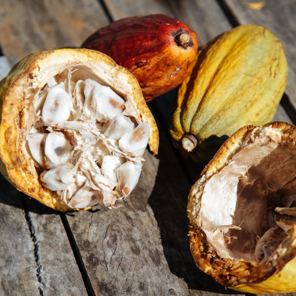 Las semillas de cacao abiertas y completas sobre madera