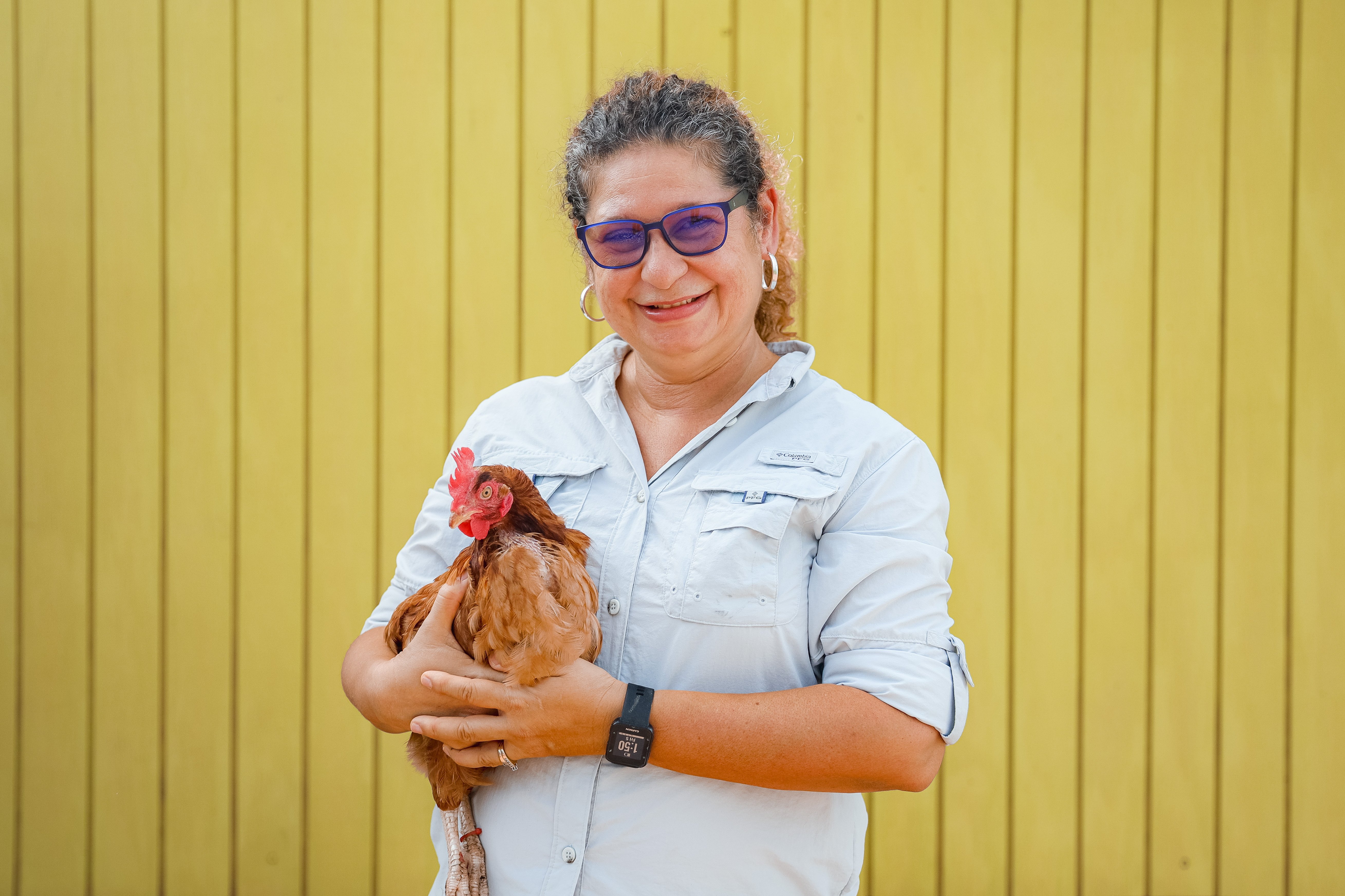 Conservando a Puerto Rico, un huevo a la vez: Sao Farms